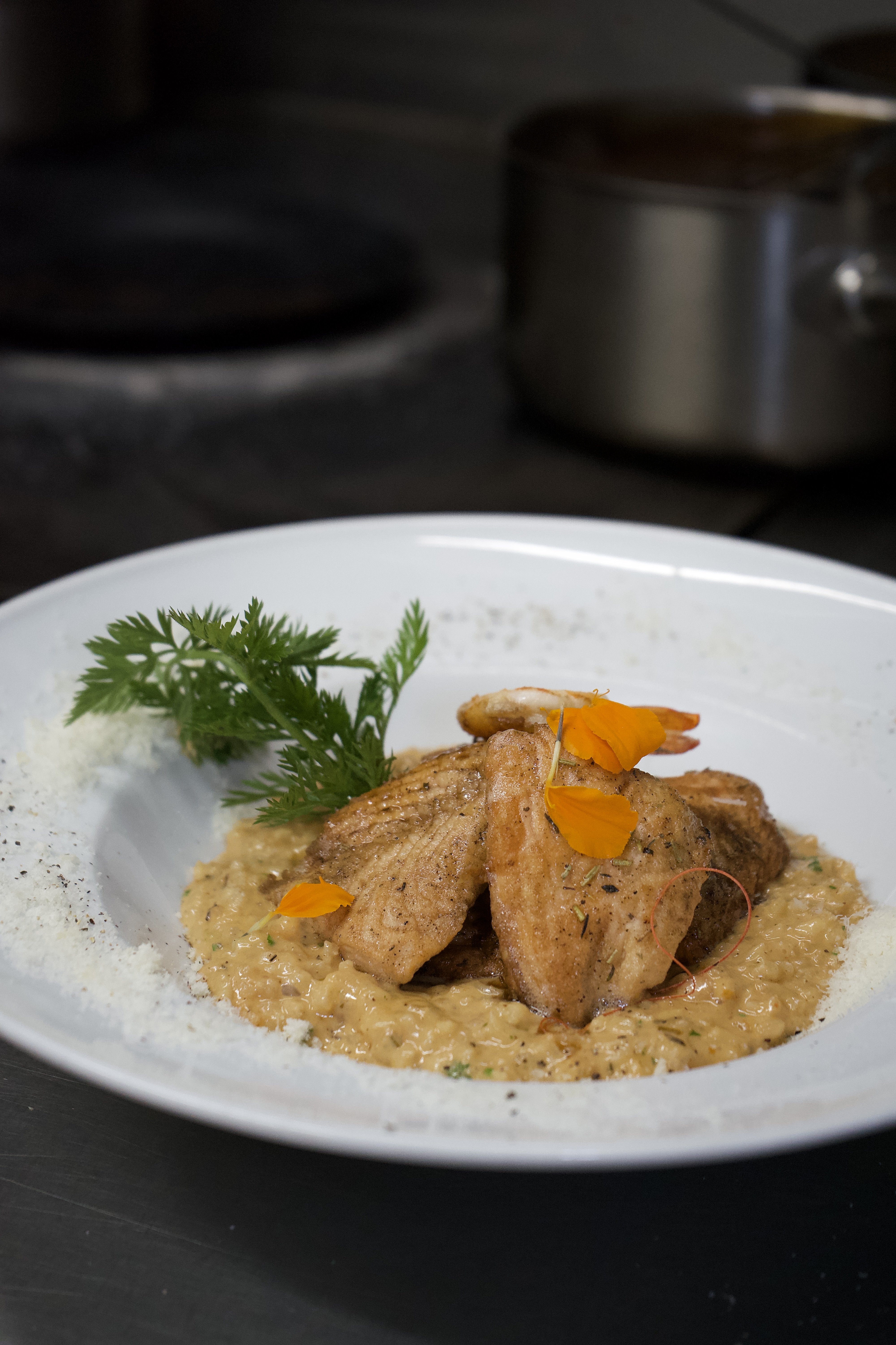 Aperçu de la catégorie Culinaire